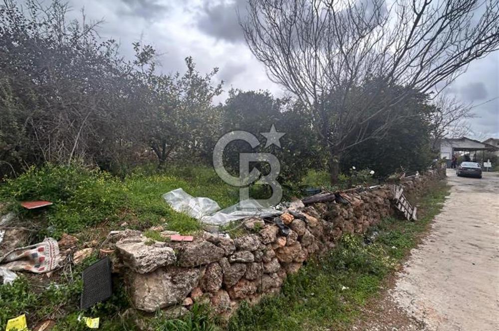 BÖLGENİN EN UYGUN FİYATLI PARSELİ
