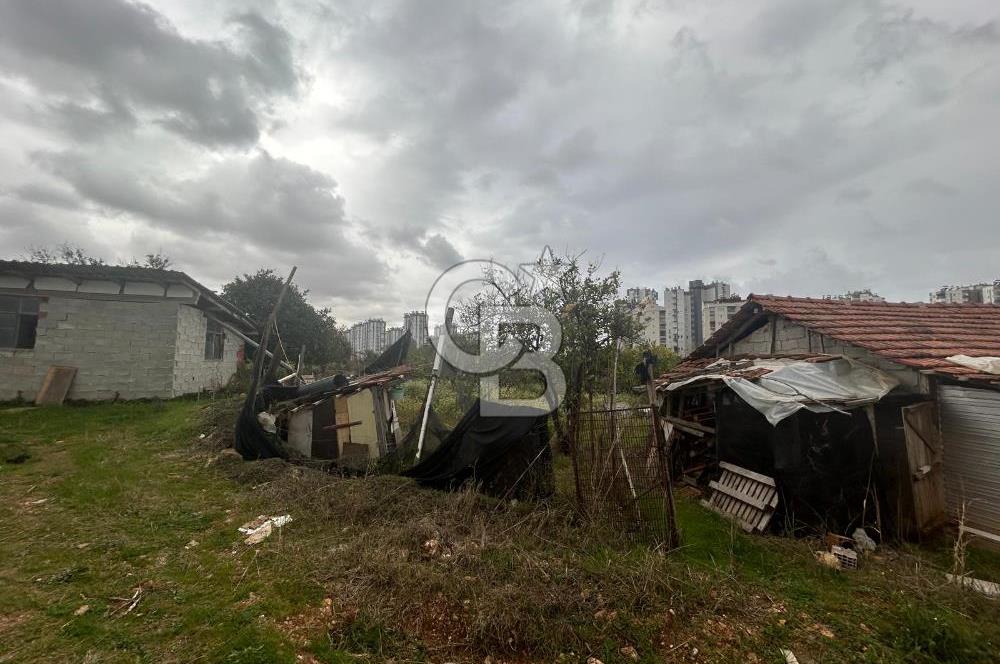 BÖLGENİN EN UYGUN FİYATLI PARSELİ