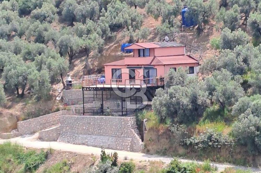 Bandırma Edincik'te Yatırım Fırsatı
