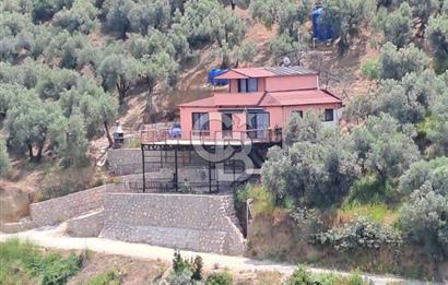 Bandırma Edincik'te Yatırım Fırsatı
