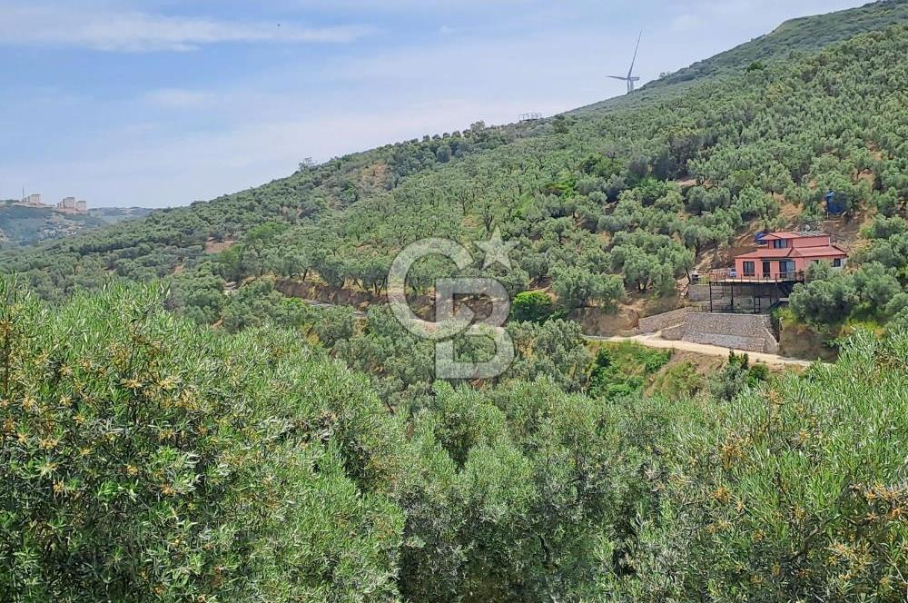 Bandırma Edincik'te Yatırım Fırsatı