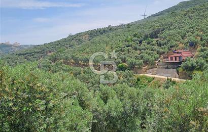 Bandırma Edincik'te Yatırım Fırsatı