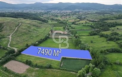 Çanakkale Yenice Karabey Köyünde 7490 M² Satılık Tarla !