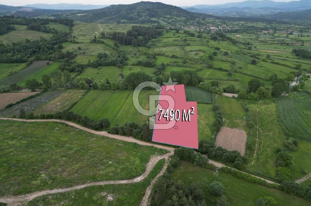 Çanakkale Yenice Karabey Köyünde 7490 M² Satılık Tarla !