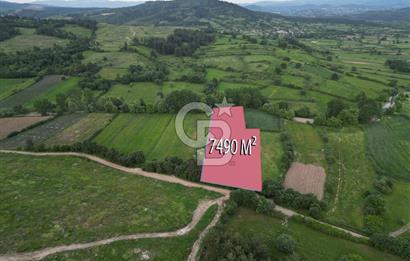 Çanakkale Yenice Karabey Köyünde 7490 M² Satılık Tarla !