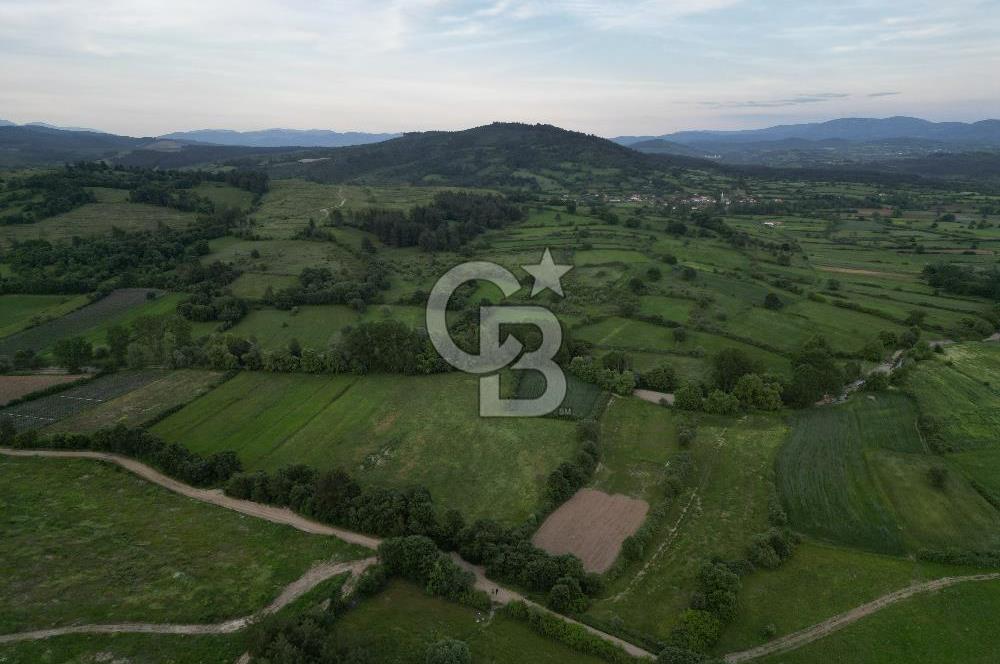 Çanakkale Yenice Karabey Köyünde 7490 M² Satılık Tarla !