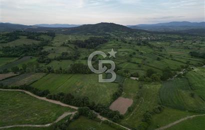 Çanakkale Yenice Karabey Köyünde 7490 M² Satılık Tarla !