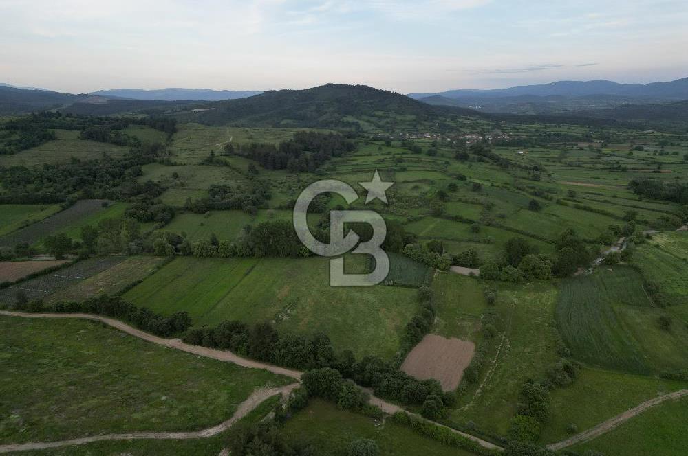Çanakkale Yenice Karabey Köyünde 7490 M² Satılık Tarla !