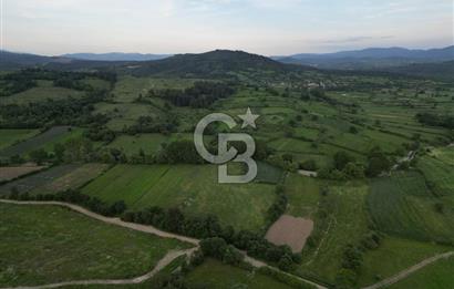 Çanakkale Yenice Karabey Köyünde 7490 M² Satılık Tarla !