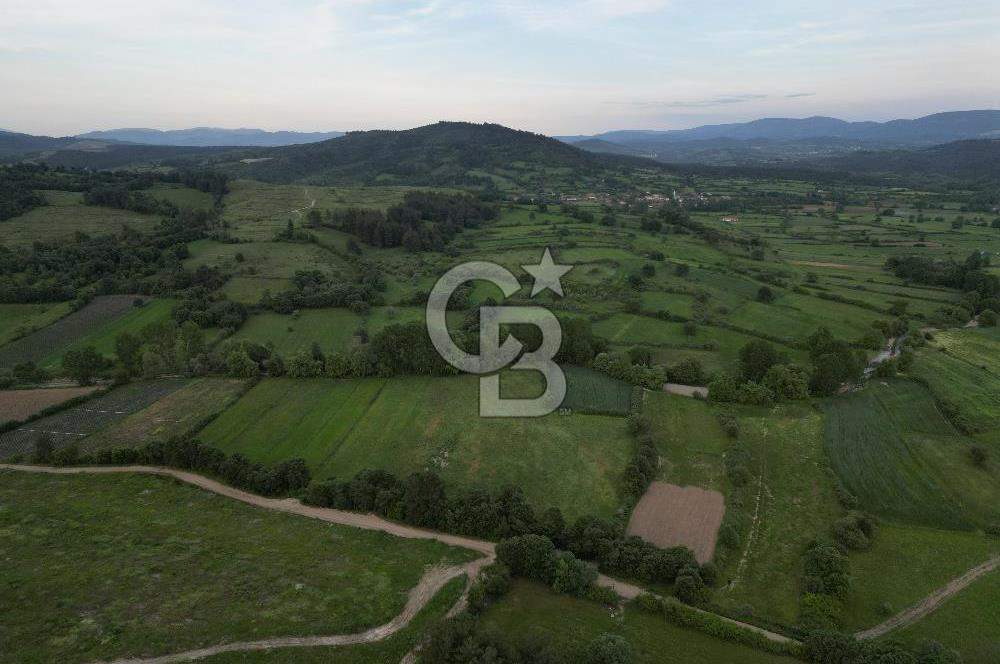 Çanakkale Yenice Karabey Köyünde 7490 M² Satılık Tarla !