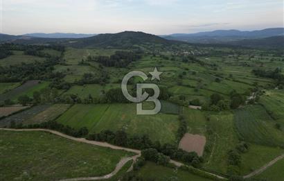 Çanakkale Yenice Karabey Köyünde 7490 M² Satılık Tarla !