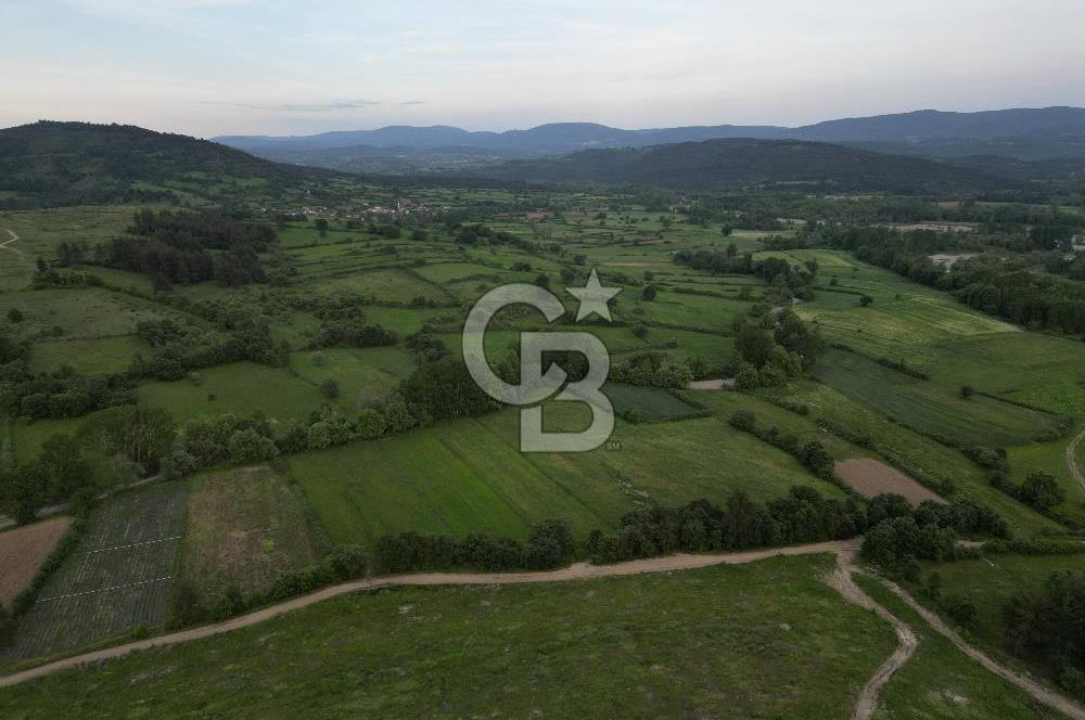 Çanakkale Yenice Karabey Köyünde 7490 M² Satılık Tarla !