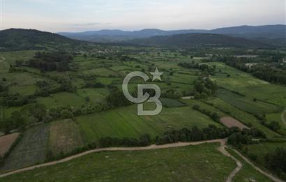 Çanakkale Yenice Karabey Köyünde 7490 M² Satılık Tarla !
