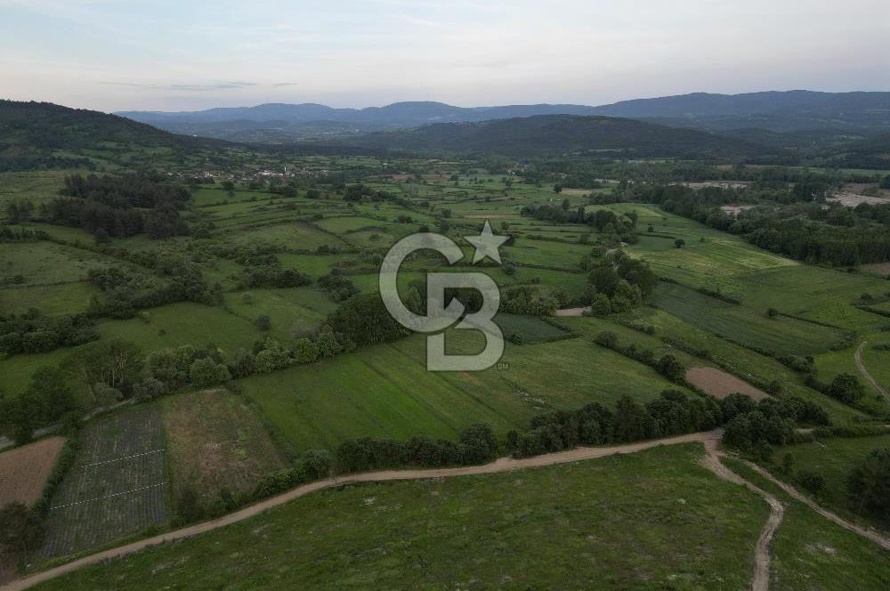 Çanakkale Yenice Karabey Köyünde 7490 M² Satılık Tarla !