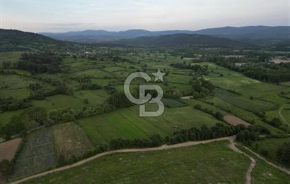 Çanakkale Yenice Karabey Köyünde 7490 M² Satılık Tarla !