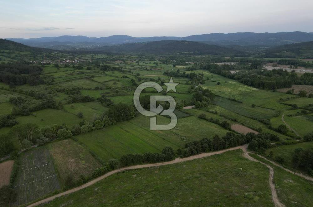 Çanakkale Yenice Karabey Köyünde 7490 M² Satılık Tarla !