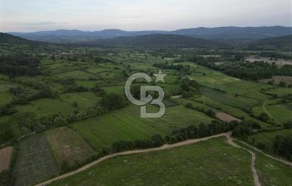 Çanakkale Yenice Karabey Köyünde 7490 M² Satılık Tarla !
