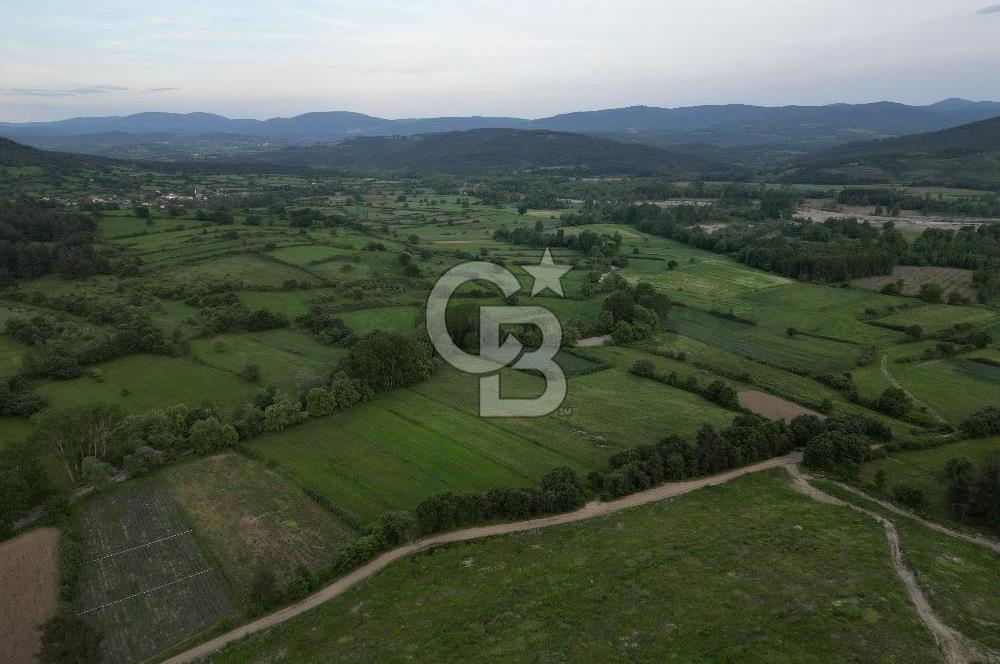 Çanakkale Yenice Karabey Köyünde 7490 M² Satılık Tarla !