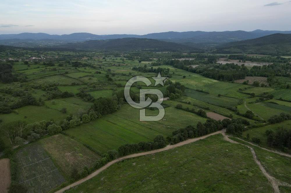 Çanakkale Yenice Karabey Köyünde 7490 M² Satılık Tarla !
