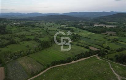 Çanakkale Yenice Karabey Köyünde 7490 M² Satılık Tarla !