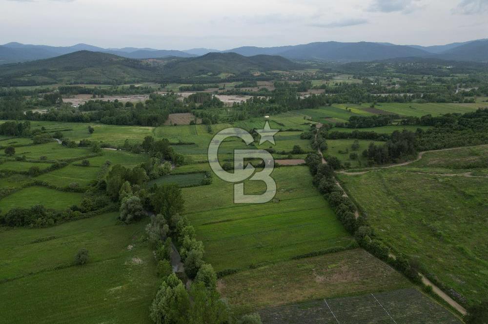 Çanakkale Yenice Karabey Köyünde 7490 M² Satılık Tarla !