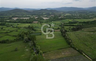 Çanakkale Yenice Karabey Köyünde 7490 M² Satılık Tarla !
