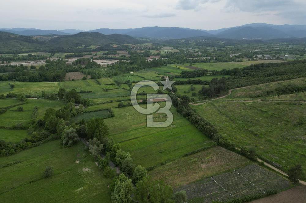 Çanakkale Yenice Karabey Köyünde 7490 M² Satılık Tarla !