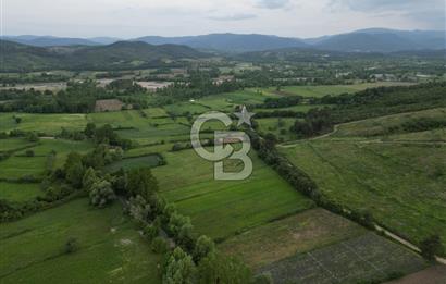 Çanakkale Yenice Karabey Köyünde 7490 M² Satılık Tarla !