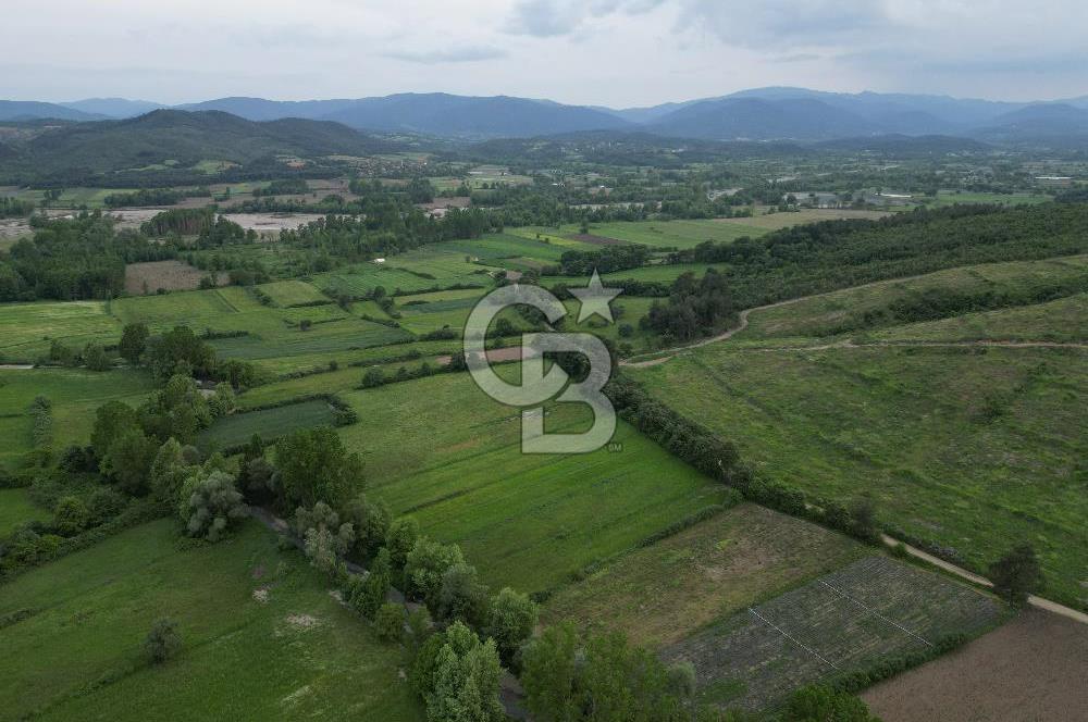 Çanakkale Yenice Karabey Köyünde 7490 M² Satılık Tarla !