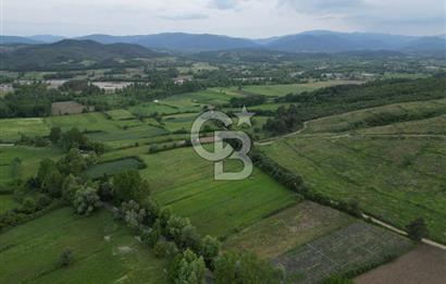 Çanakkale Yenice Karabey Köyünde 7490 M² Satılık Tarla !