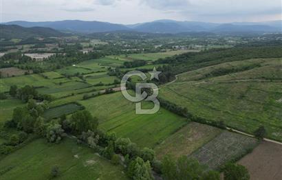 Çanakkale Yenice Karabey Köyünde 7490 M² Satılık Tarla !