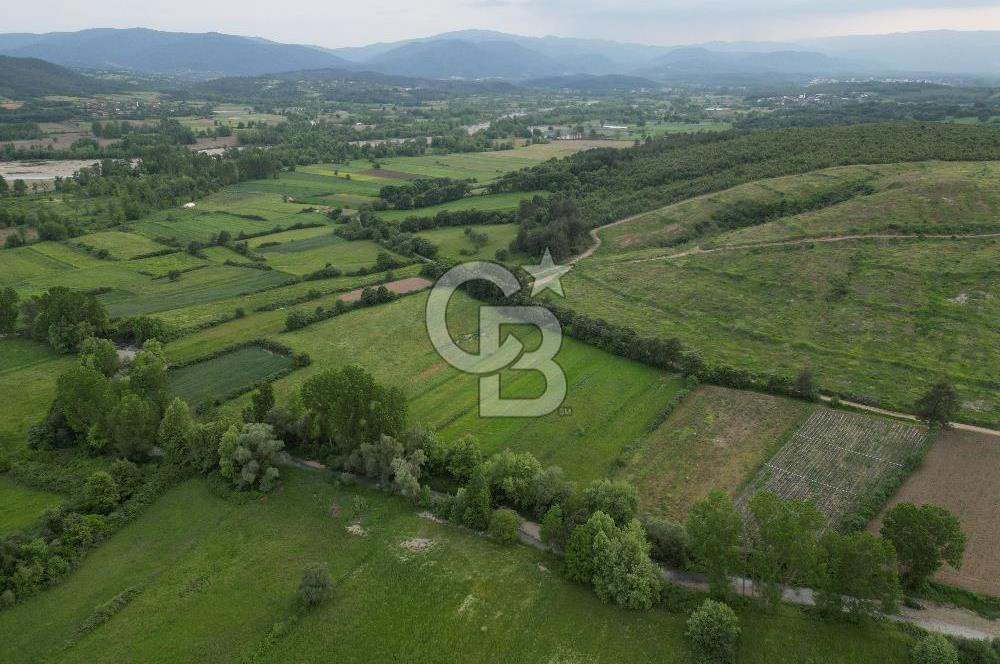 Çanakkale Yenice Karabey Köyünde 7490 M² Satılık Tarla !