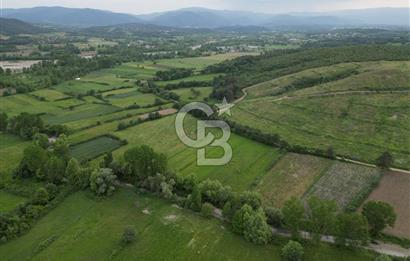 Çanakkale Yenice Karabey Köyünde 7490 M² Satılık Tarla !