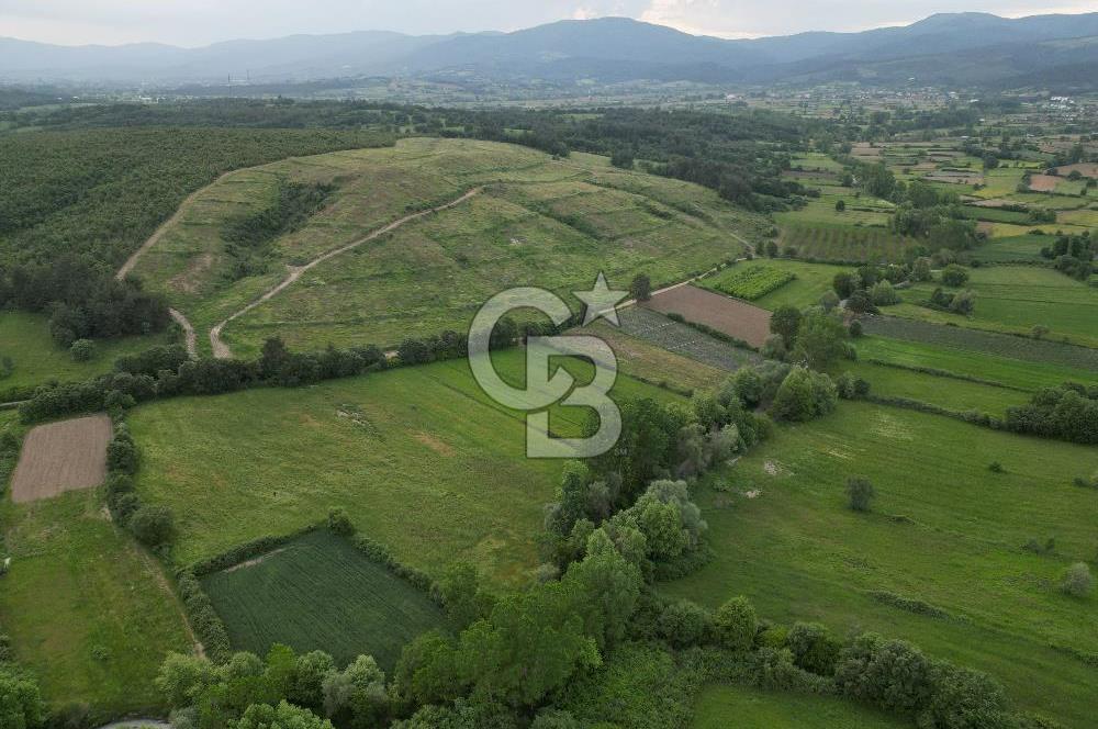 Çanakkale Yenice Karabey Köyünde 7490 M² Satılık Tarla !