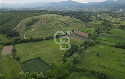 Çanakkale Yenice Karabey Köyünde 7490 M² Satılık Tarla !
