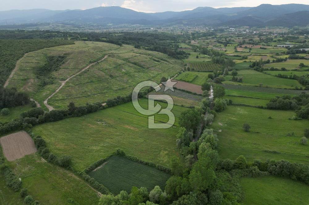 Çanakkale Yenice Karabey Köyünde 7490 M² Satılık Tarla !