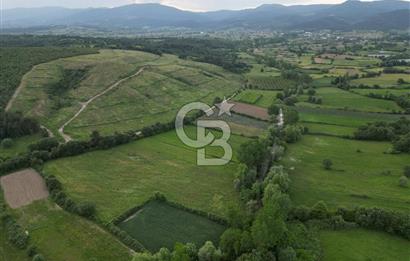 Çanakkale Yenice Karabey Köyünde 7490 M² Satılık Tarla !