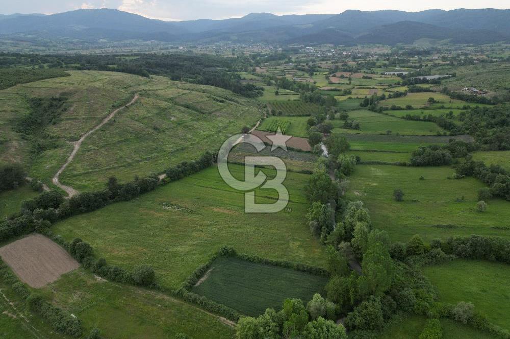 Çanakkale Yenice Karabey Köyünde 7490 M² Satılık Tarla !