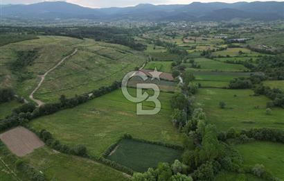 Çanakkale Yenice Karabey Köyünde 7490 M² Satılık Tarla !