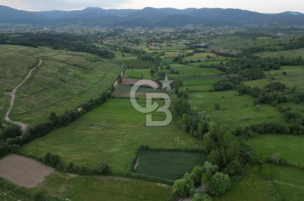 Çanakkale Yenice Karabey Köyünde 7490 M² Satılık Tarla !