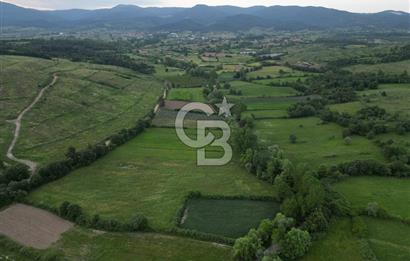 Çanakkale Yenice Karabey Köyünde 7490 M² Satılık Tarla !