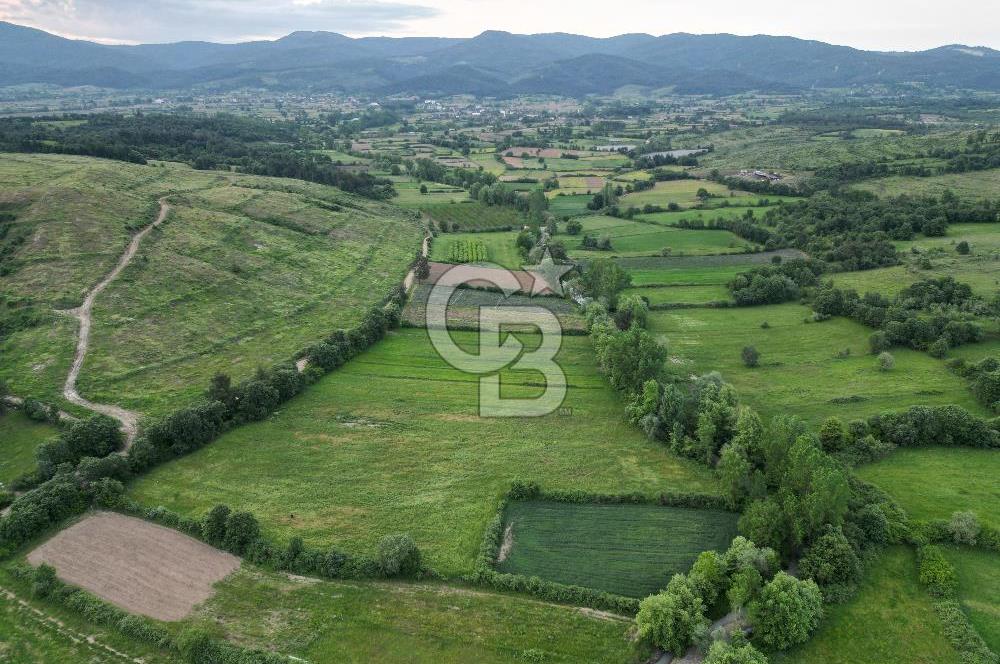 Çanakkale Yenice Karabey Köyünde 7490 M² Satılık Tarla !