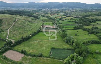 Çanakkale Yenice Karabey Köyünde 7490 M² Satılık Tarla !