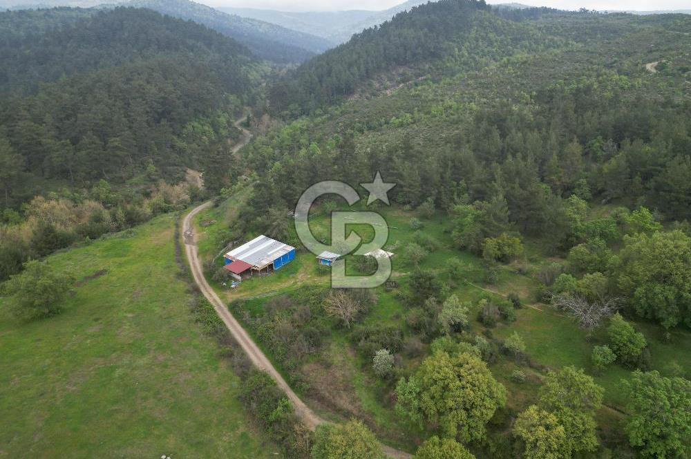 Çanakkale Yenice Hamdibey Köyünde Satılık 333 M² Bahçe !