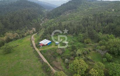 Çanakkale Yenice Hamdibey Köyünde Satılık 333 M² Bahçe !