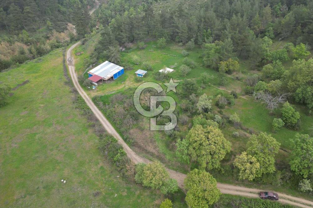 Çanakkale Yenice Hamdibey Köyünde Satılık 333 M² Bahçe !