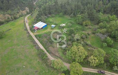 Çanakkale Yenice Hamdibey Köyünde Satılık 333 M² Bahçe !