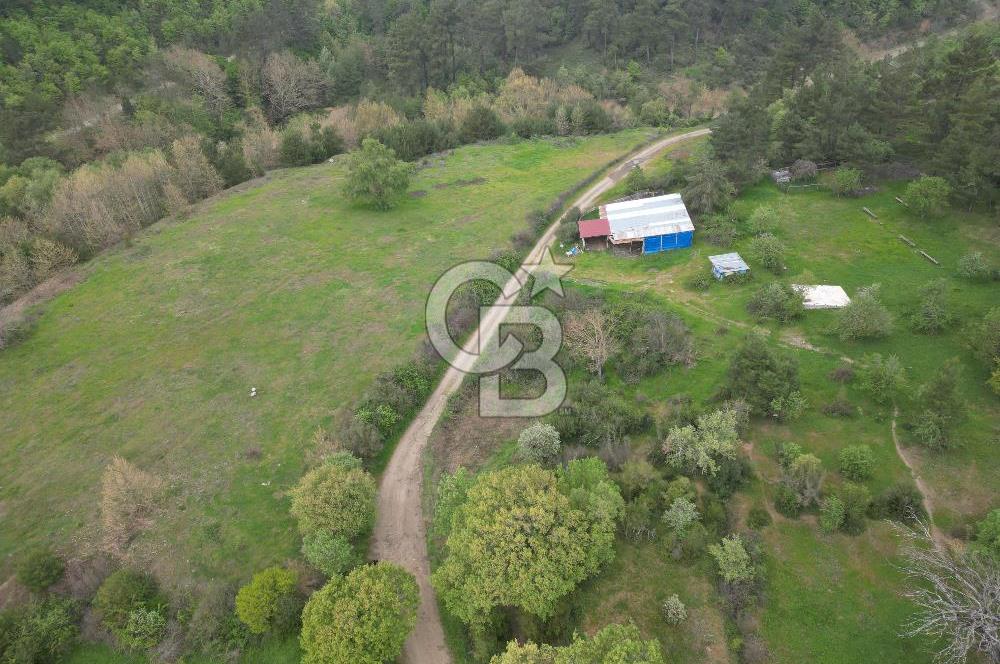 Çanakkale Yenice Hamdibey Köyünde Satılık 333 M² Bahçe !