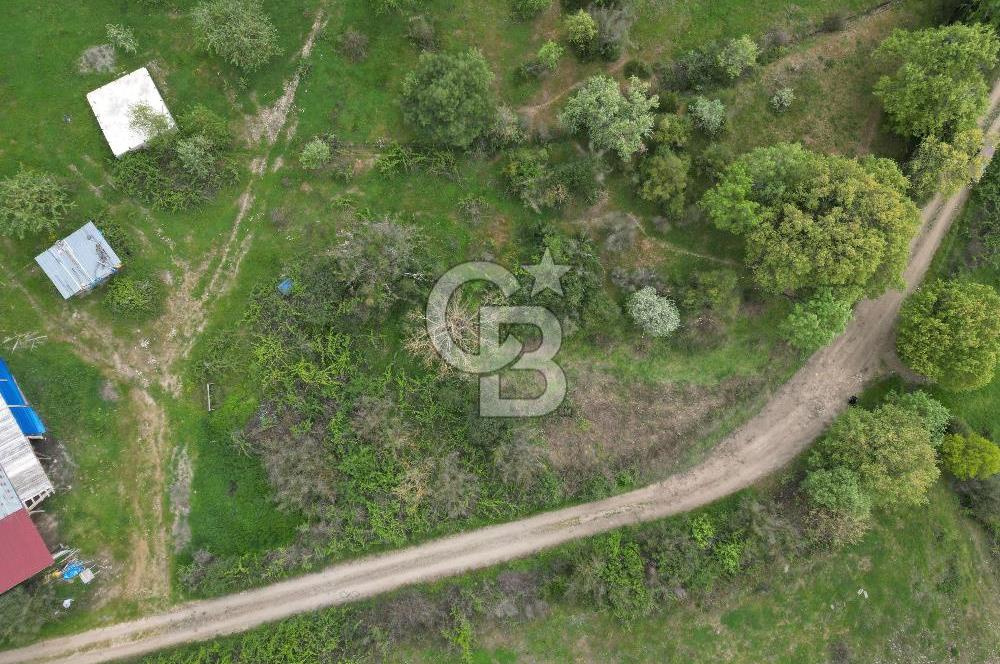 Çanakkale Yenice Hamdibey Köyünde Satılık 333 M² Bahçe !