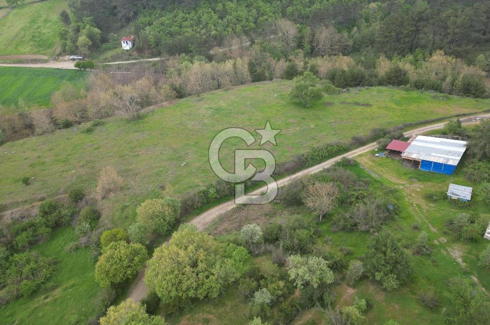 Çanakkale Yenice Hamdibey Köyünde Satılık 333 M² Bahçe !